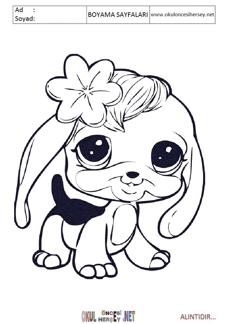 Çocuklar İçin Littlest Petshop Boyama Sayfaları 