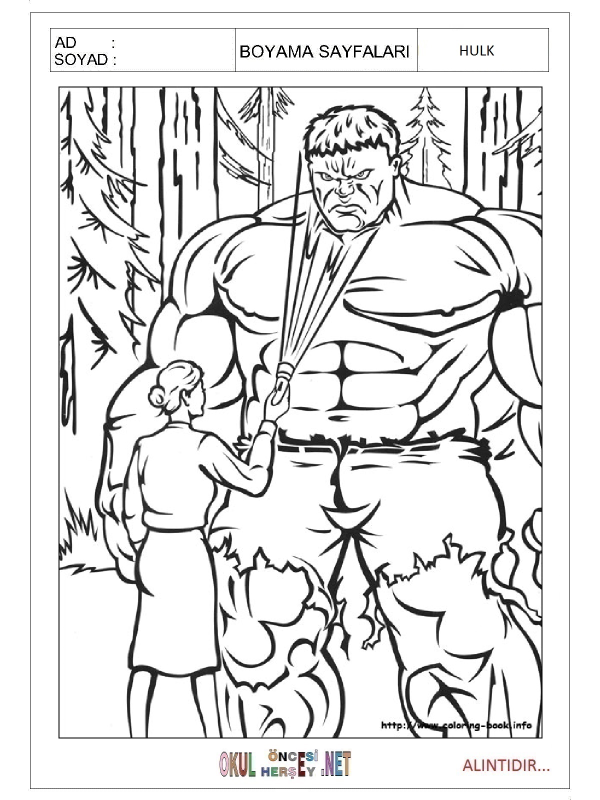 Çocuklar İçin Hulk Boyama Sayfaları 