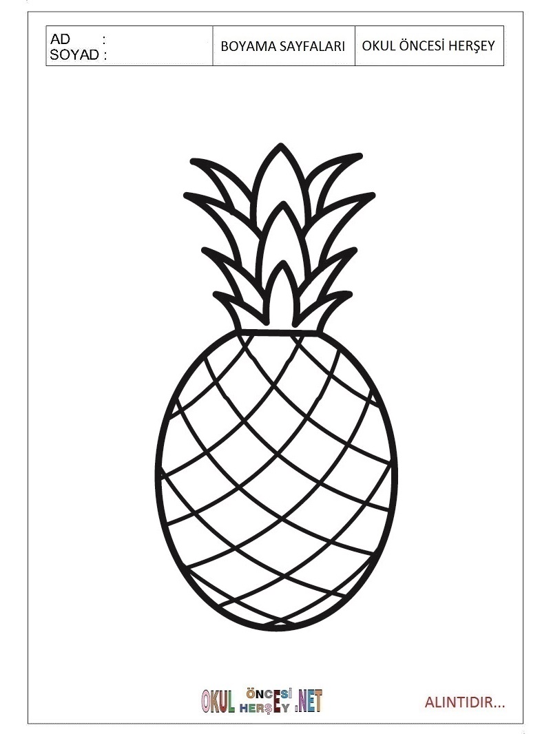 Çocuklar İçin Ananas Boyama Sayfaları 