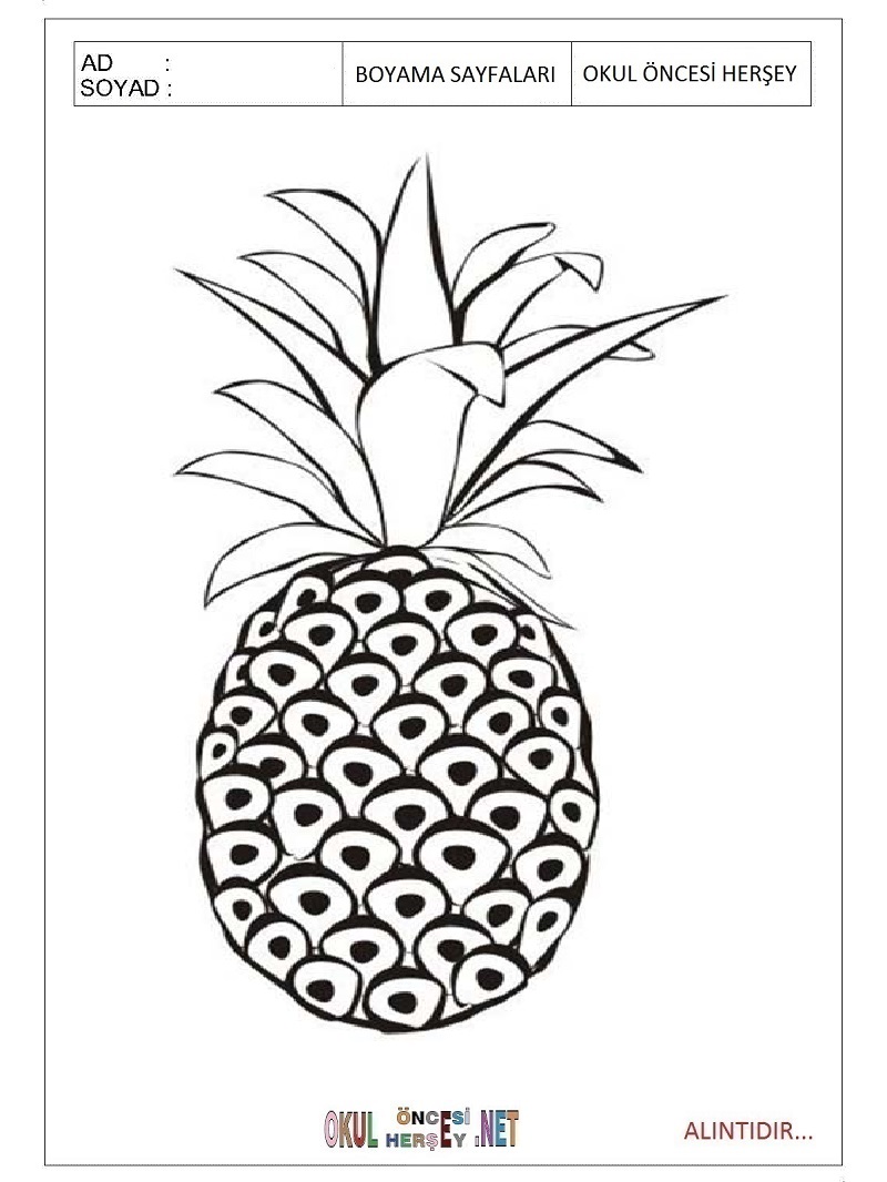 Çocuklar İçin Ananas Boyama Sayfaları 