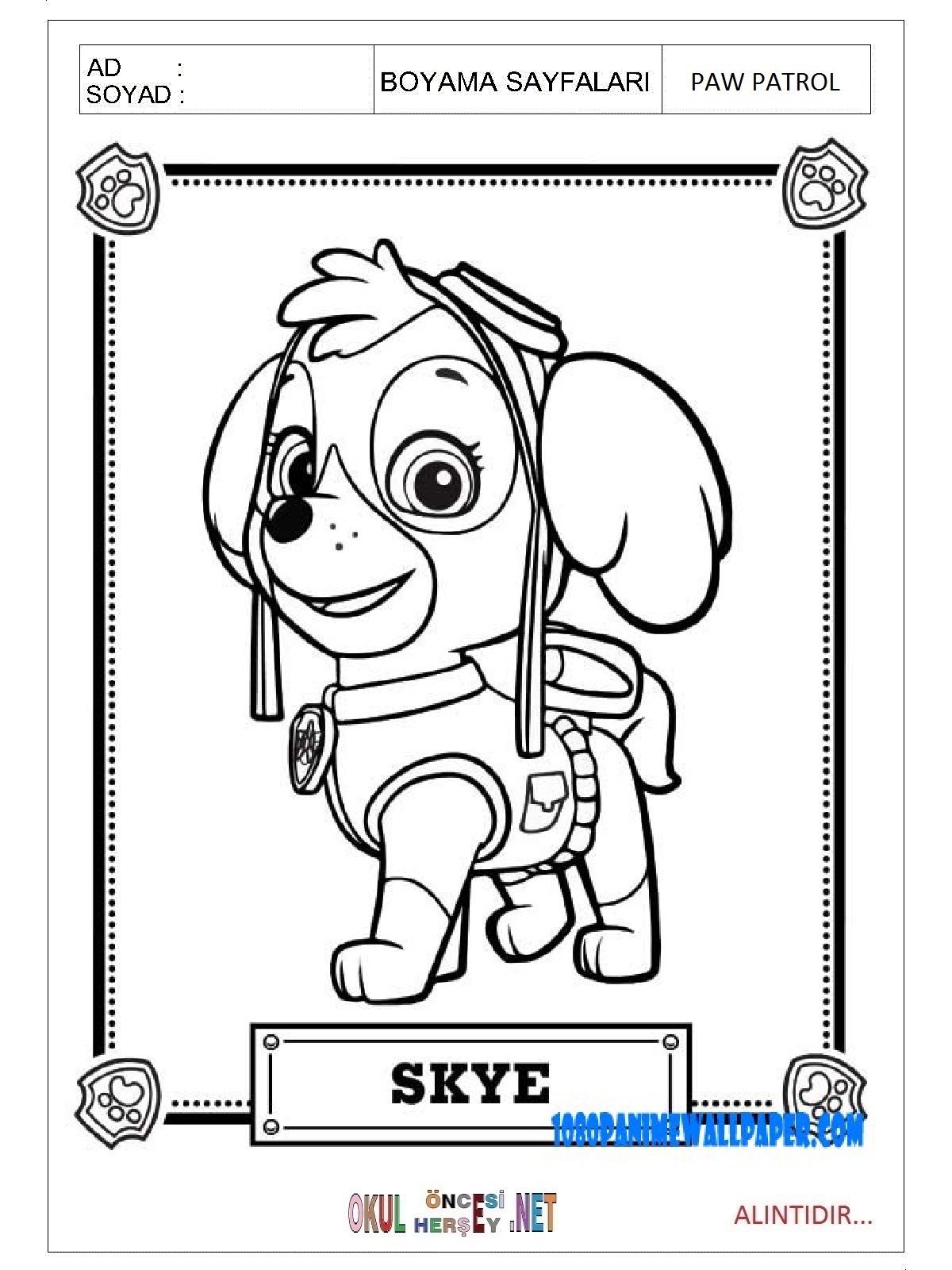 Paw Patrol boyama sayfaları