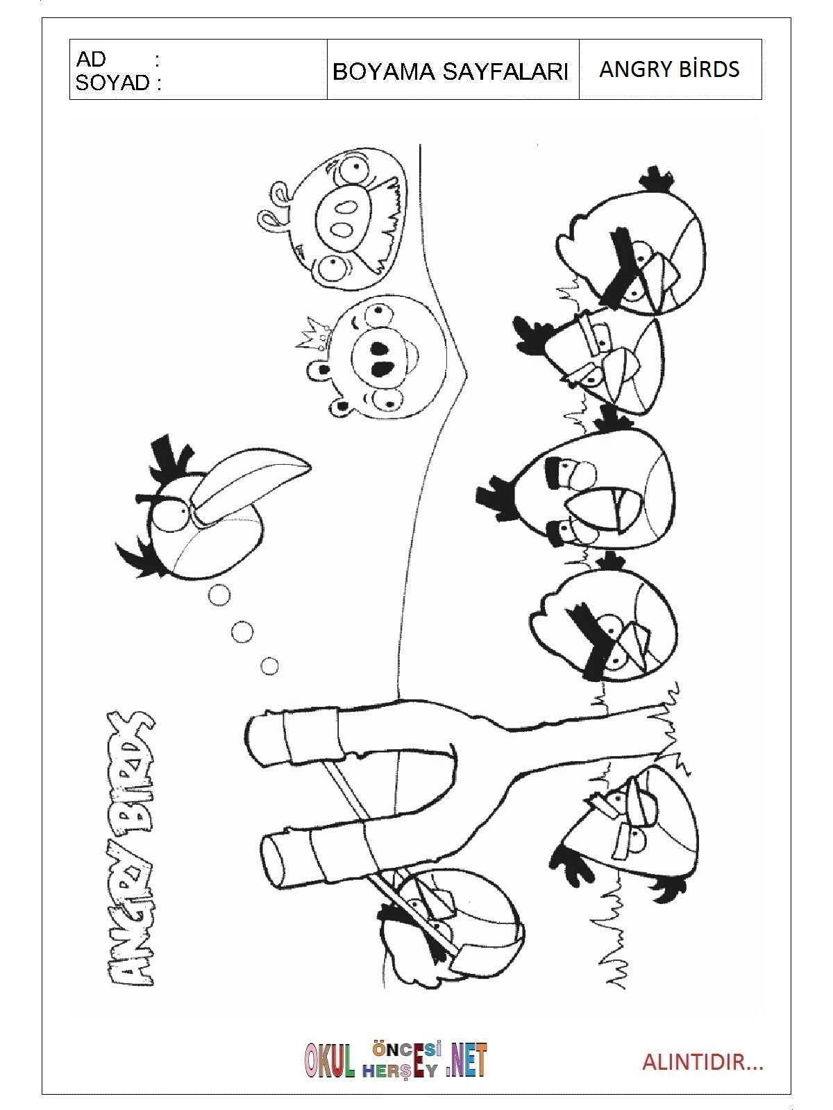 Angry Birds boyama sayfaları