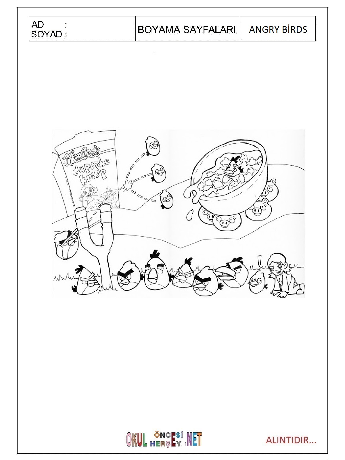 Angry Birds boyama sayfaları