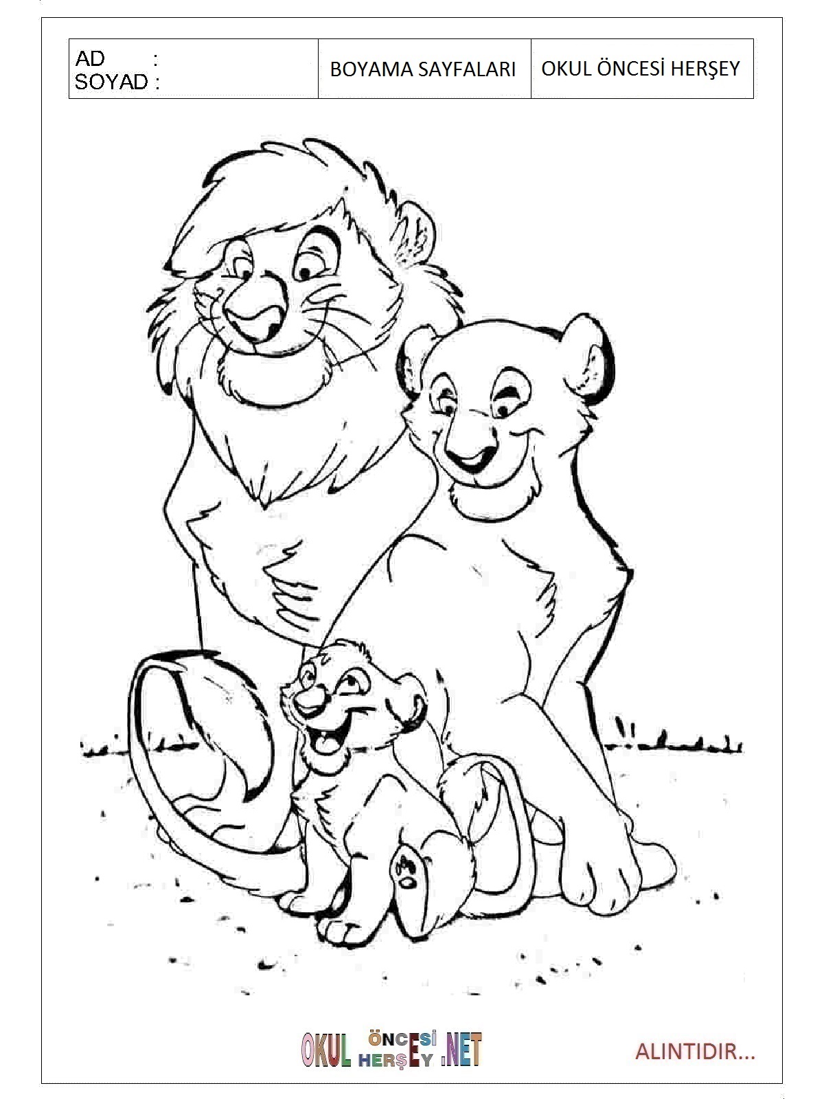Çocuklar İçin Aslan Boyama Sayfaları 