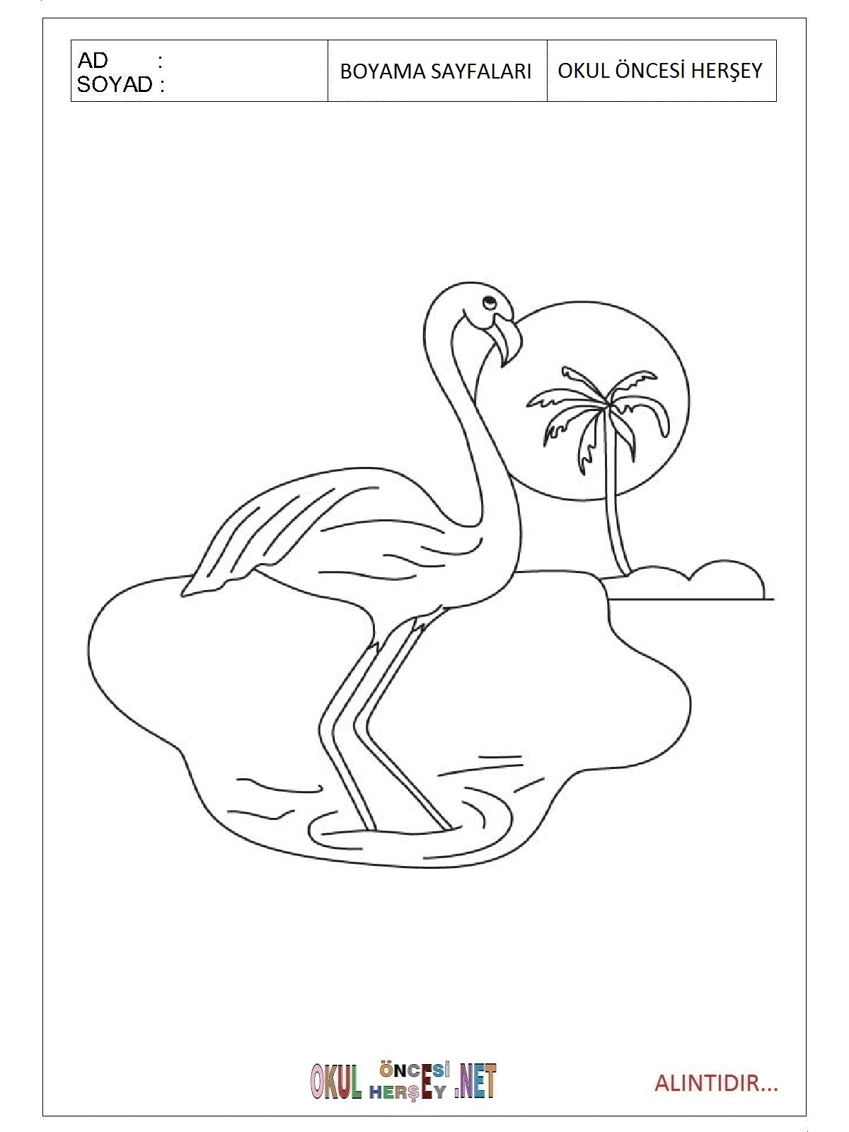 Çocuklar İçin Flamingo Boyama Sayfaları 