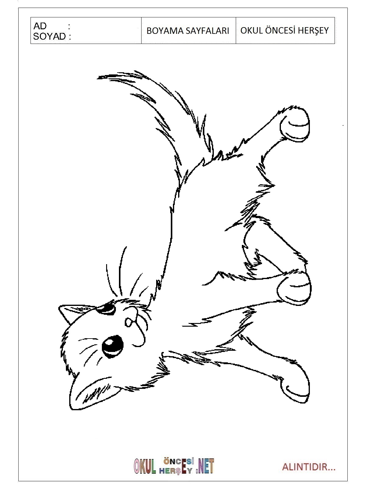 Çocuklar İçin Kedi Boyama Sayfaları 