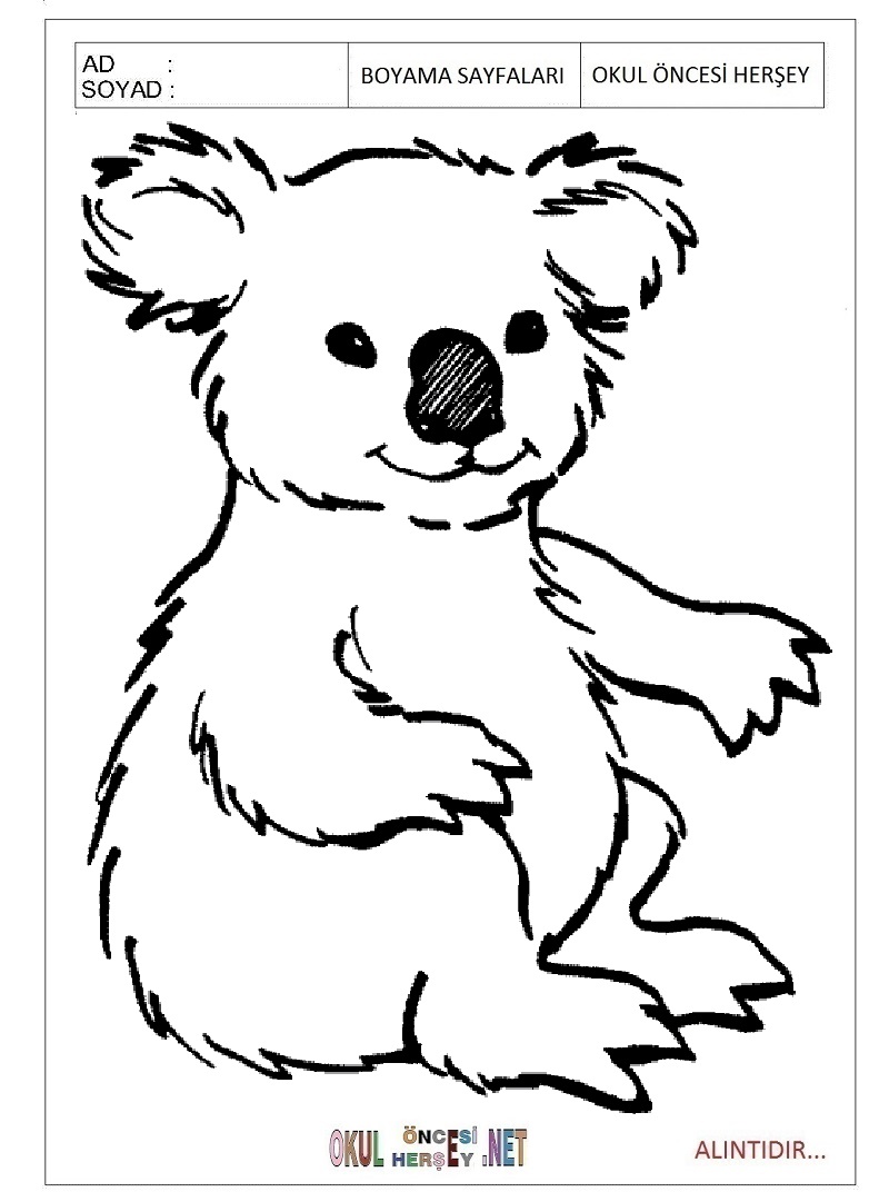 Çocuklar İçin Koala Boyama Sayfaları 