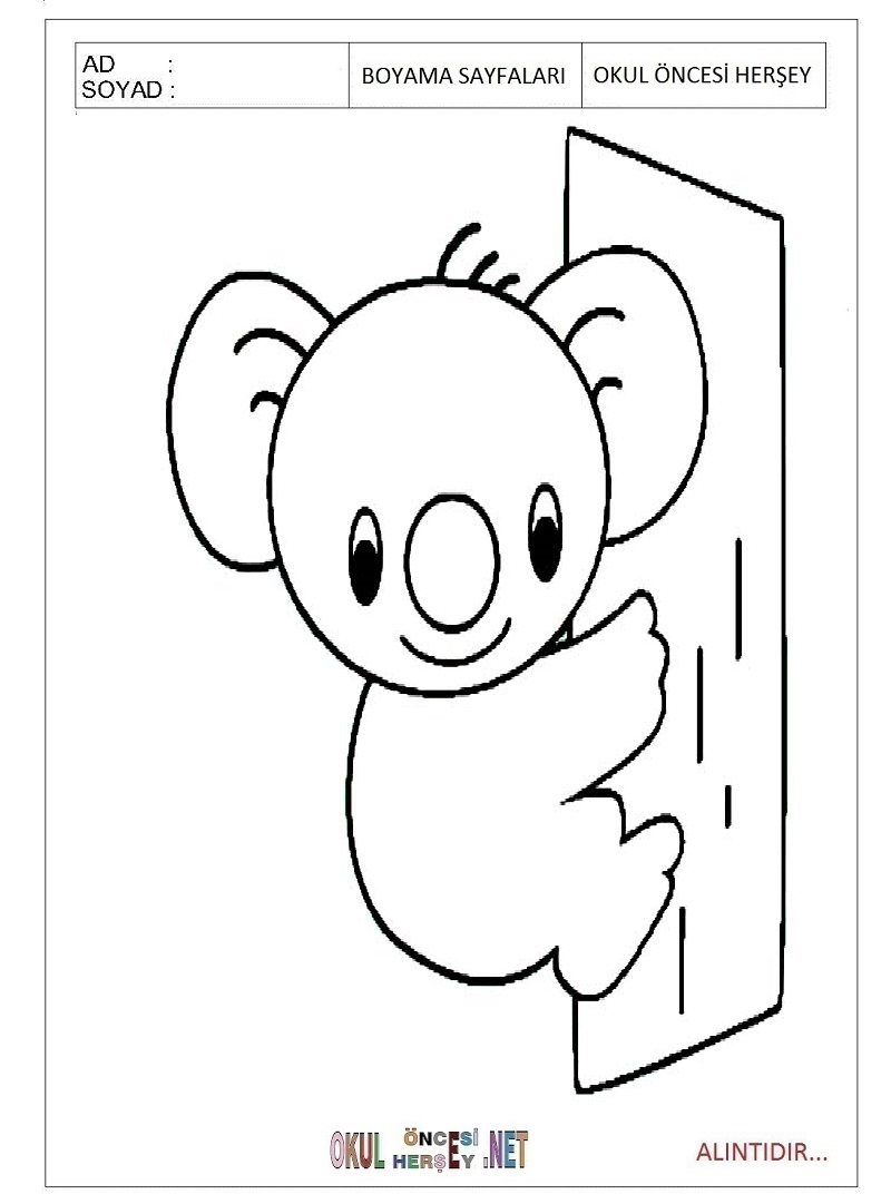 Çocuklar İçin Koala Boyama Sayfaları 