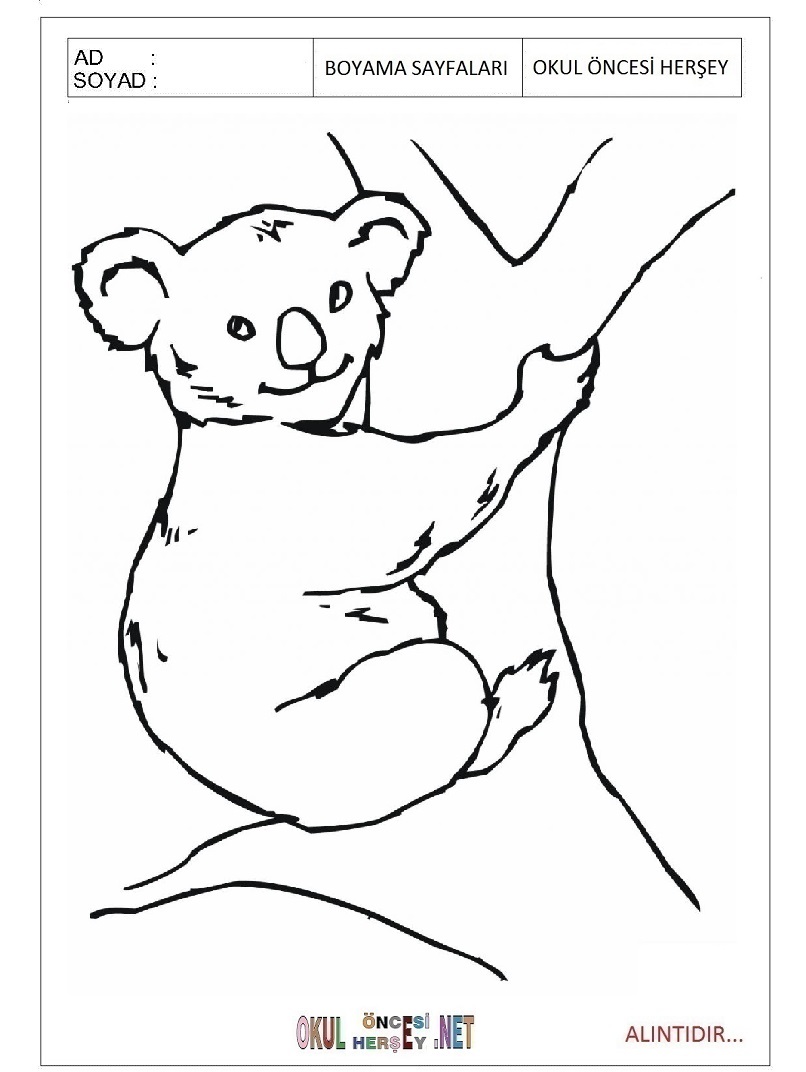 Çocuklar İçin Koala Boyama Sayfaları 