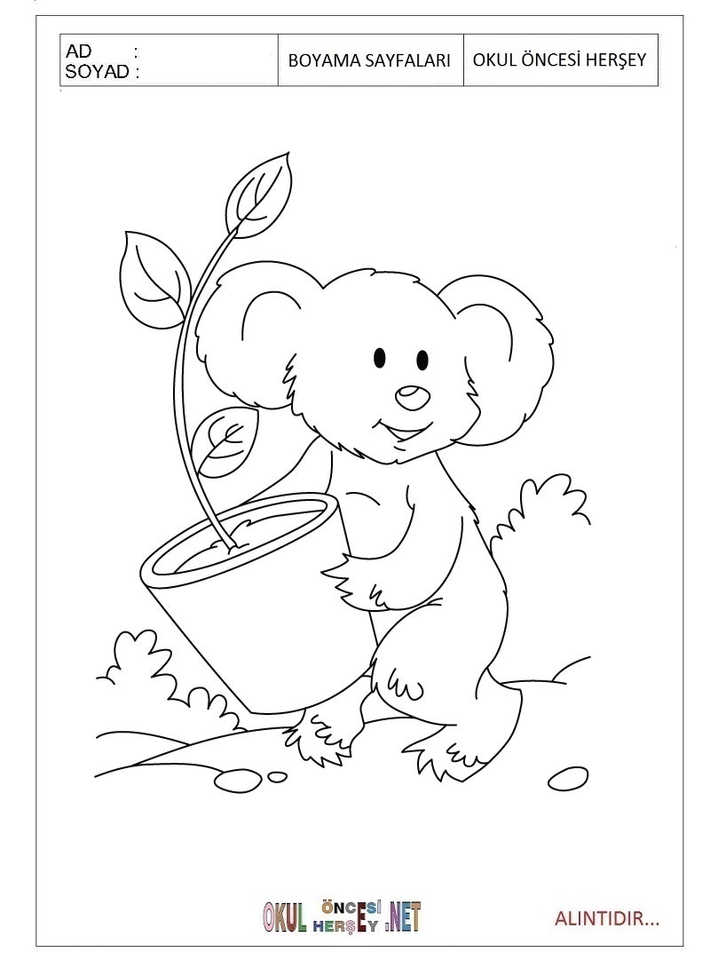 Çocuklar İçin Koala Boyama Sayfaları 