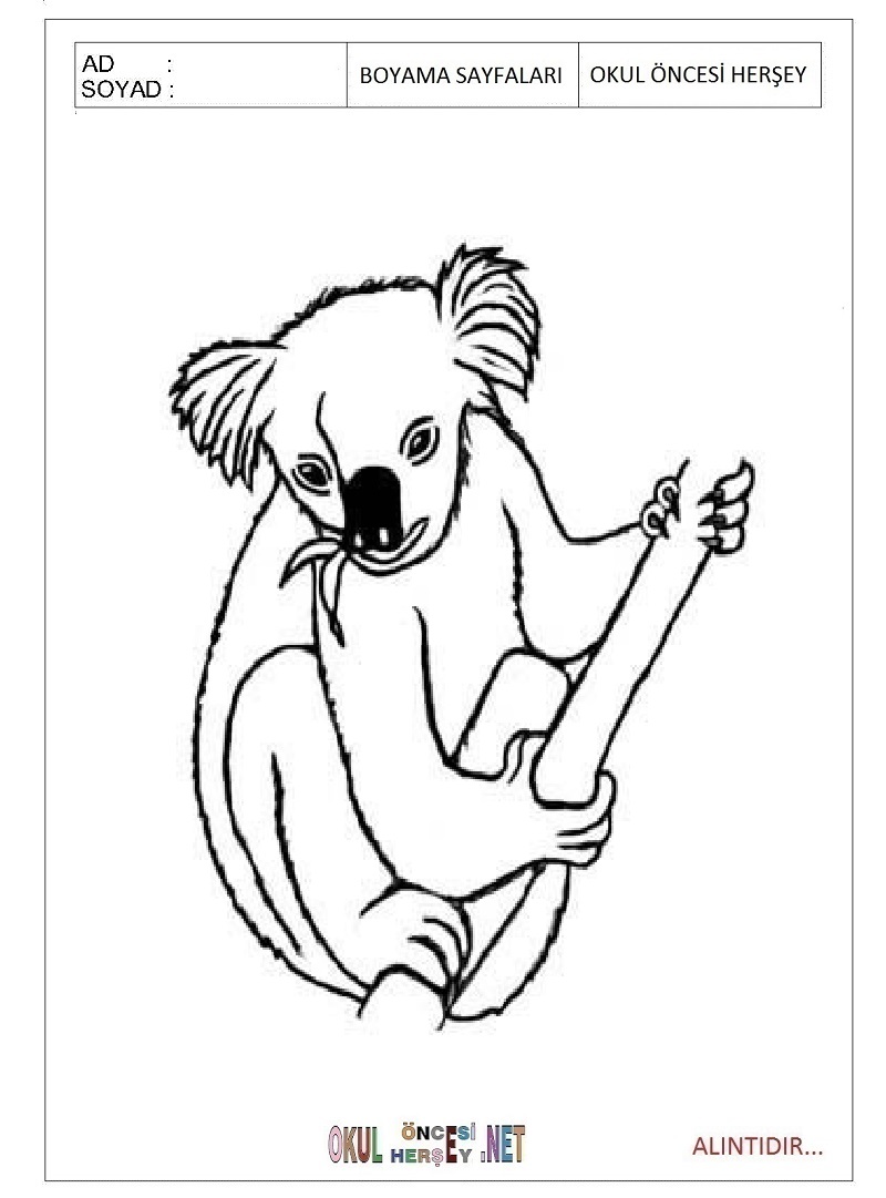 Çocuklar İçin Koala Boyama Sayfaları 