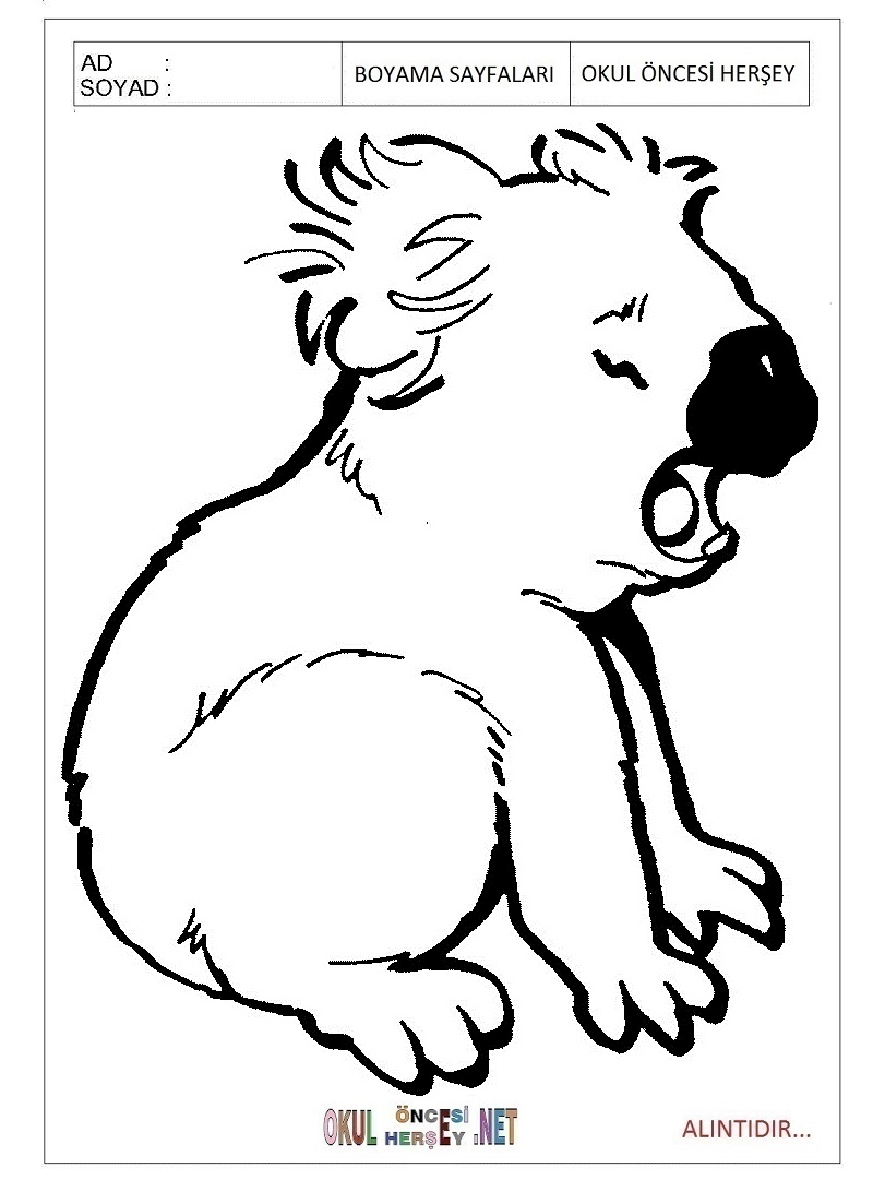 Çocuklar İçin Koala Boyama Sayfaları 