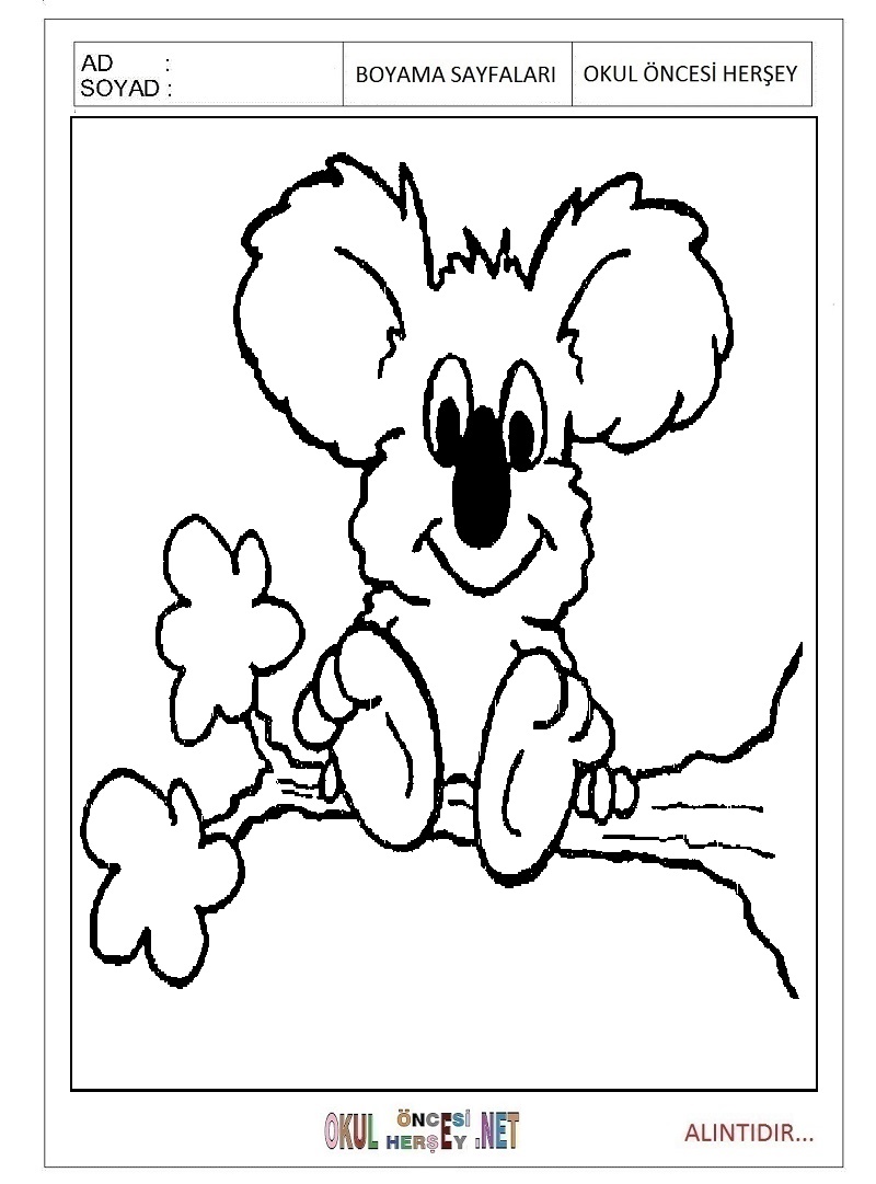 Çocuklar İçin Koala Boyama Sayfaları 