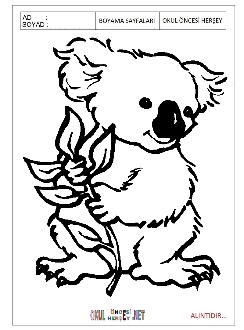 Çocuklar İçin Koala Boyama Sayfaları 