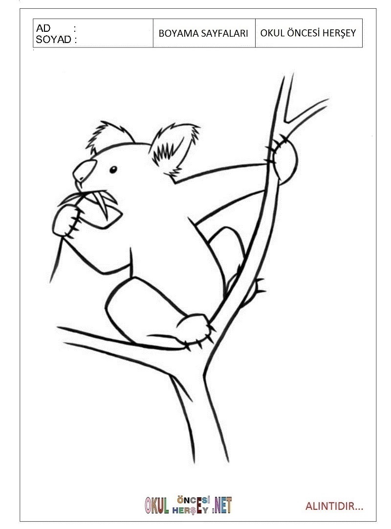 Çocuklar İçin Koala Boyama Sayfaları 