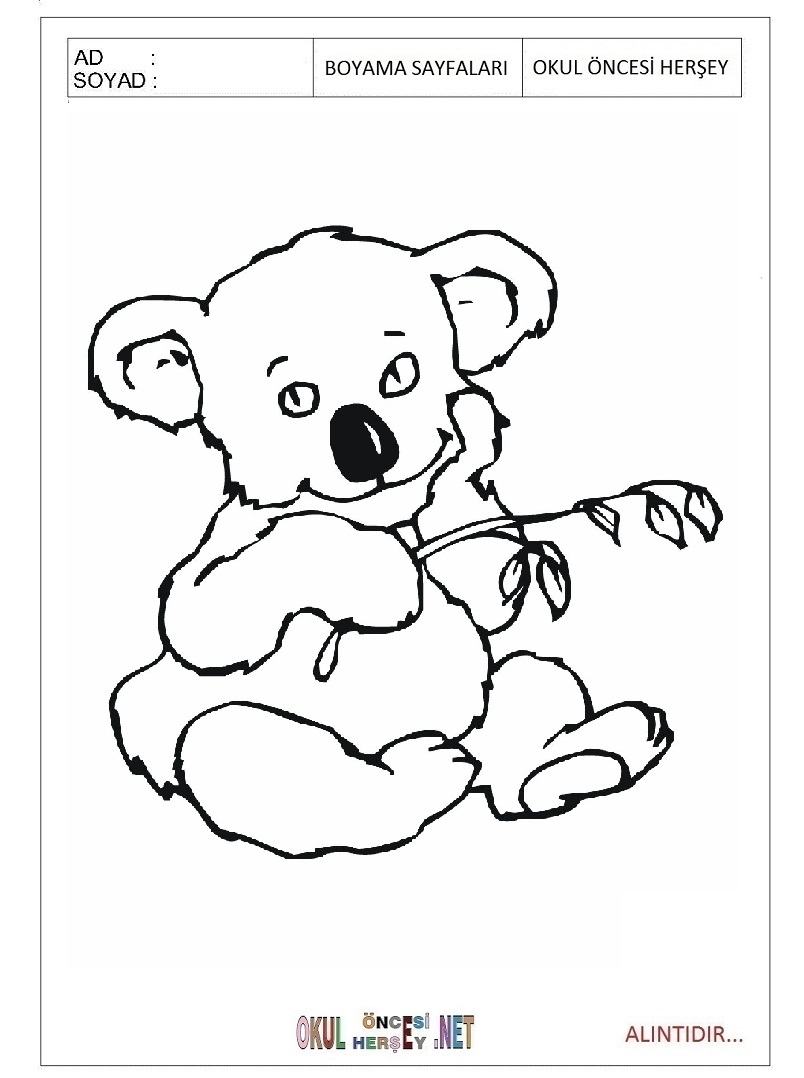 Çocuklar İçin Koala Boyama Sayfaları 