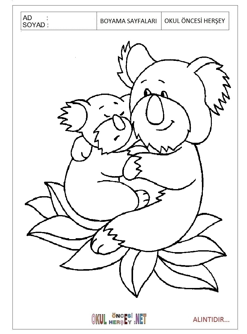 Çocuklar İçin Koala Boyama Sayfaları 