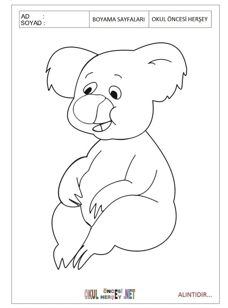 Çocuklar İçin Koala Boyama Sayfaları 