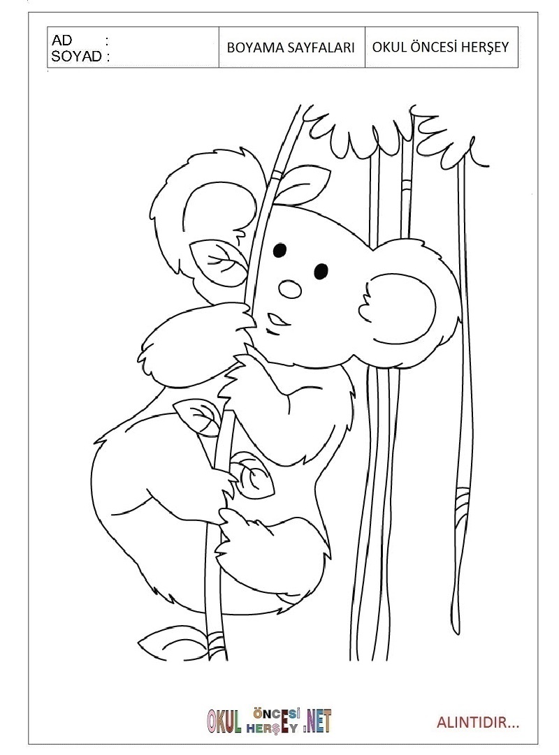 Çocuklar İçin Koala Boyama Sayfaları 