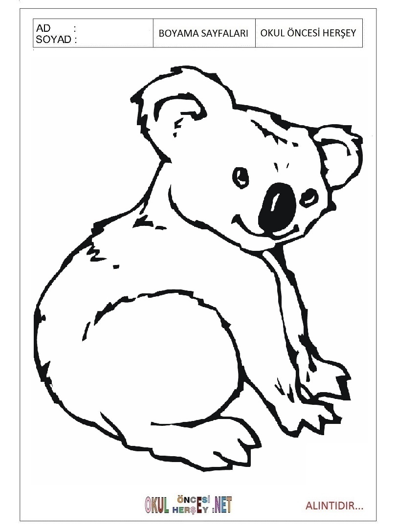 Çocuklar İçin Koala Boyama Sayfaları 