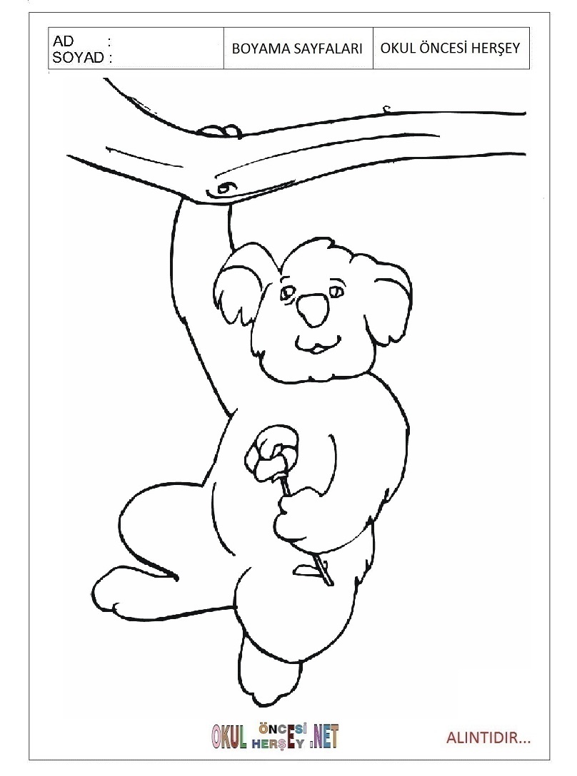 Çocuklar İçin Koala Boyama Sayfaları 