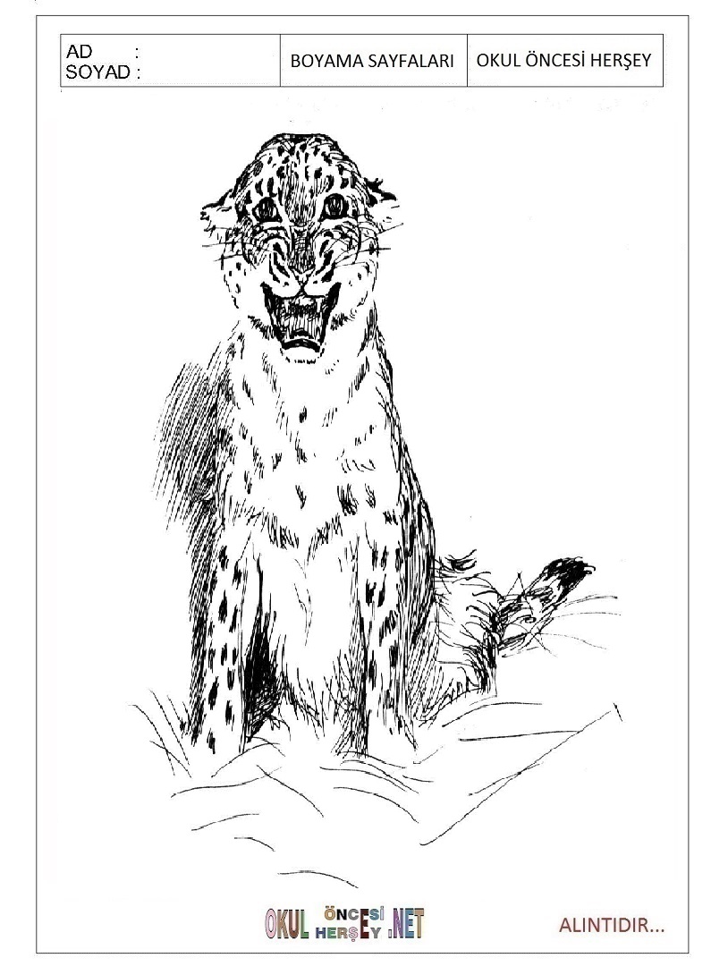 Çocuklar İçin Leopar Boyama Sayfaları 