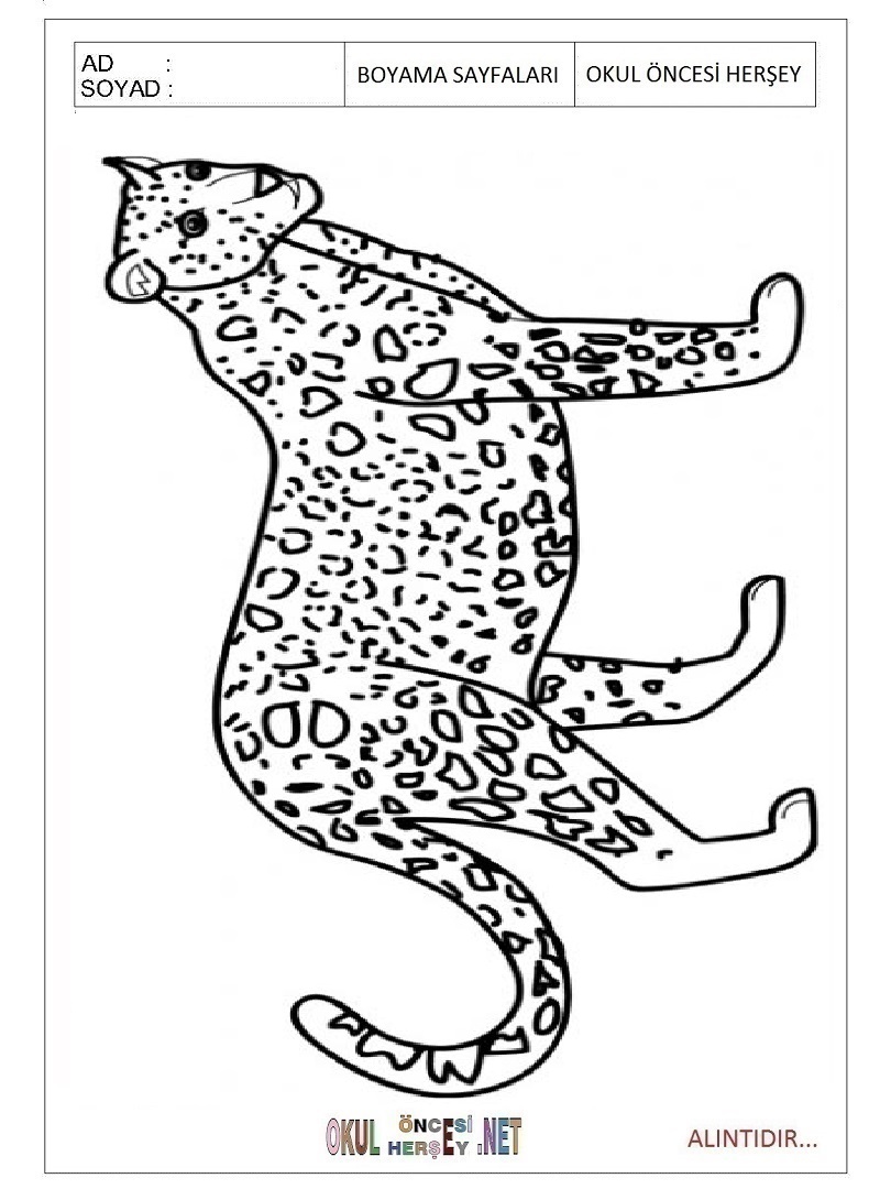 Çocuklar İçin Leopar Boyama Sayfaları 