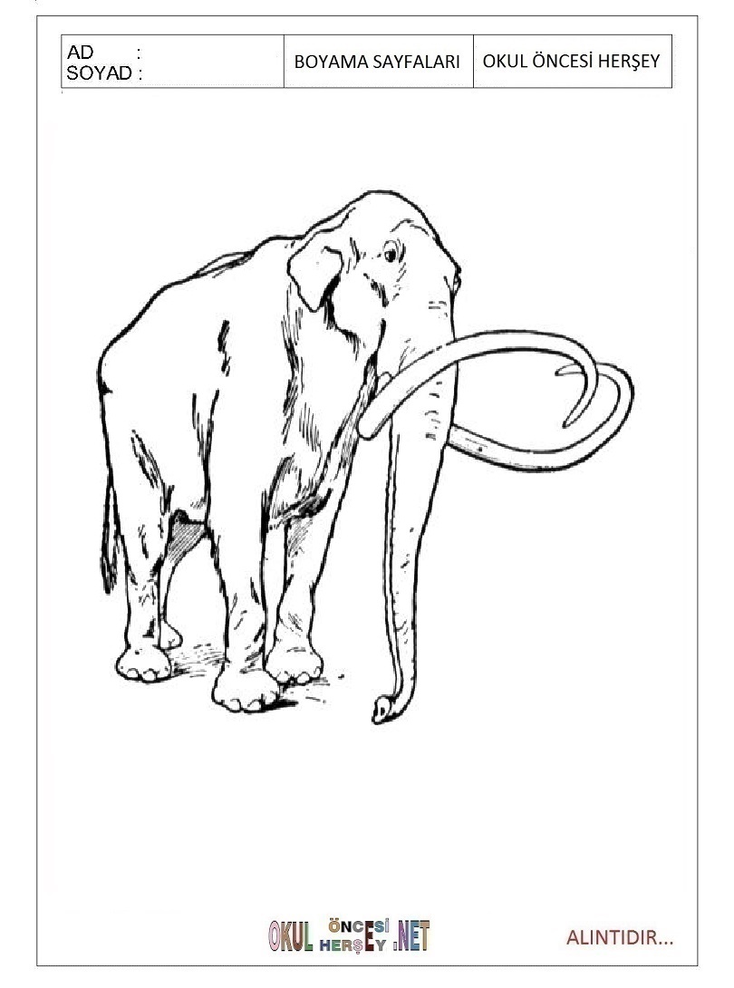 Çocuklar İçin Mamut Boyama Sayfaları 