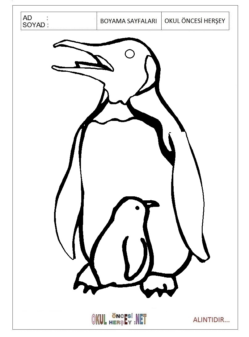 Çocuklar İçin Penguen Boyama Sayfaları 