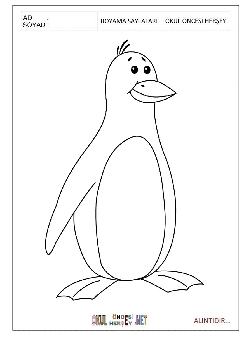 Çocuklar İçin Penguen Boyama Sayfaları 