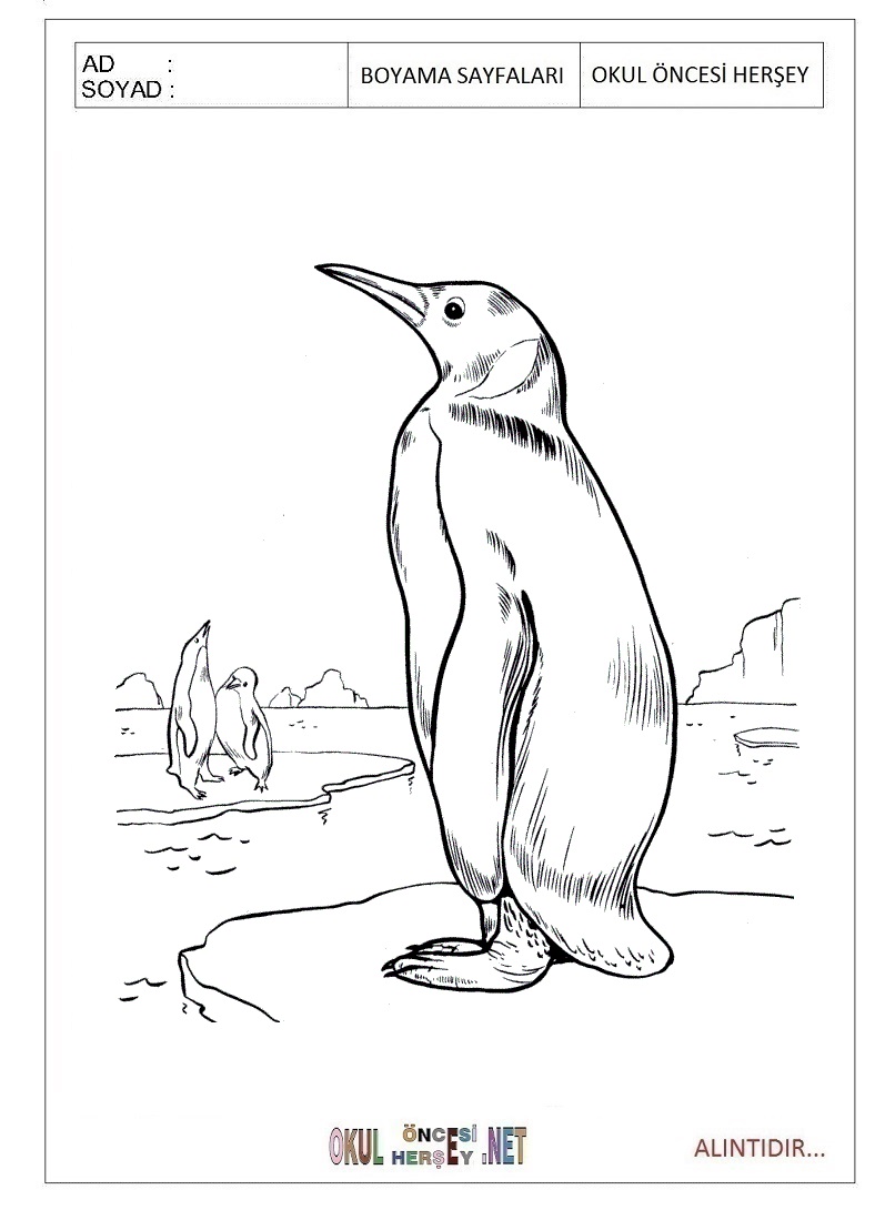 Çocuklar İçin Penguen Boyama Sayfaları 