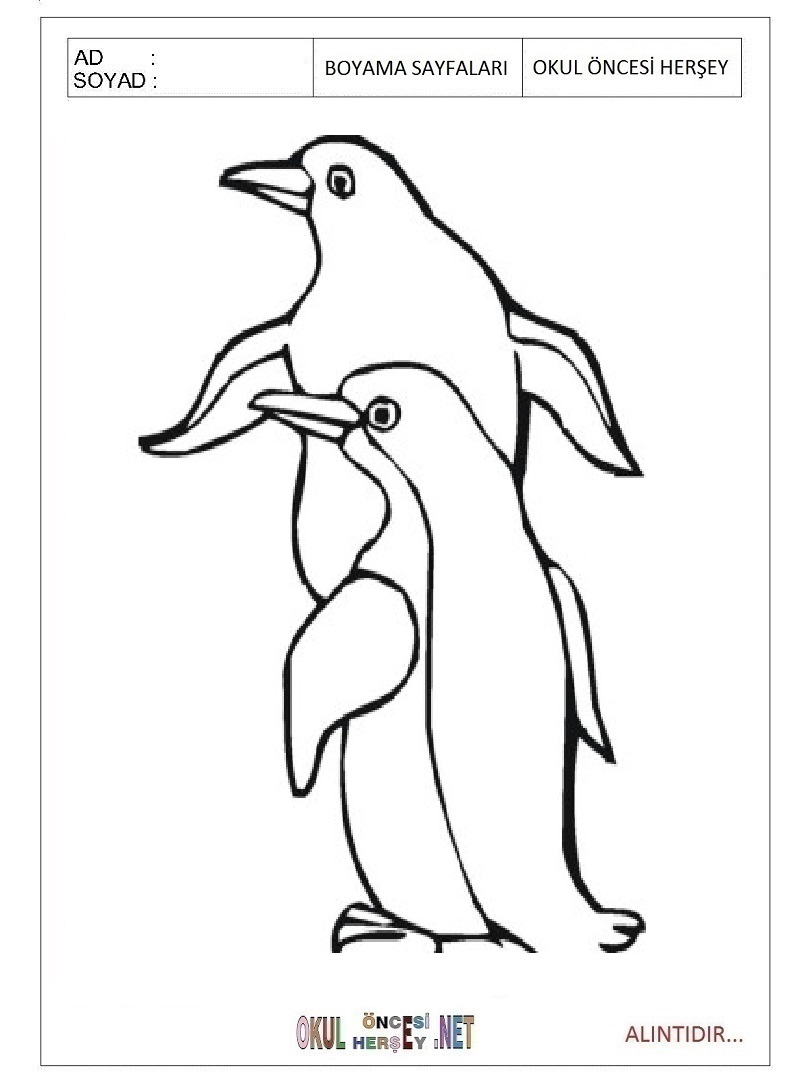 Çocuklar İçin Penguen Boyama Sayfaları 
