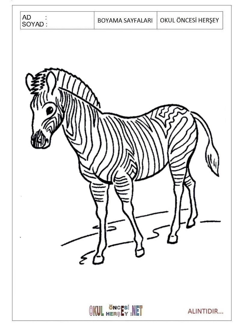 Çocuklar İçin Zebra Boyama Sayfaları 