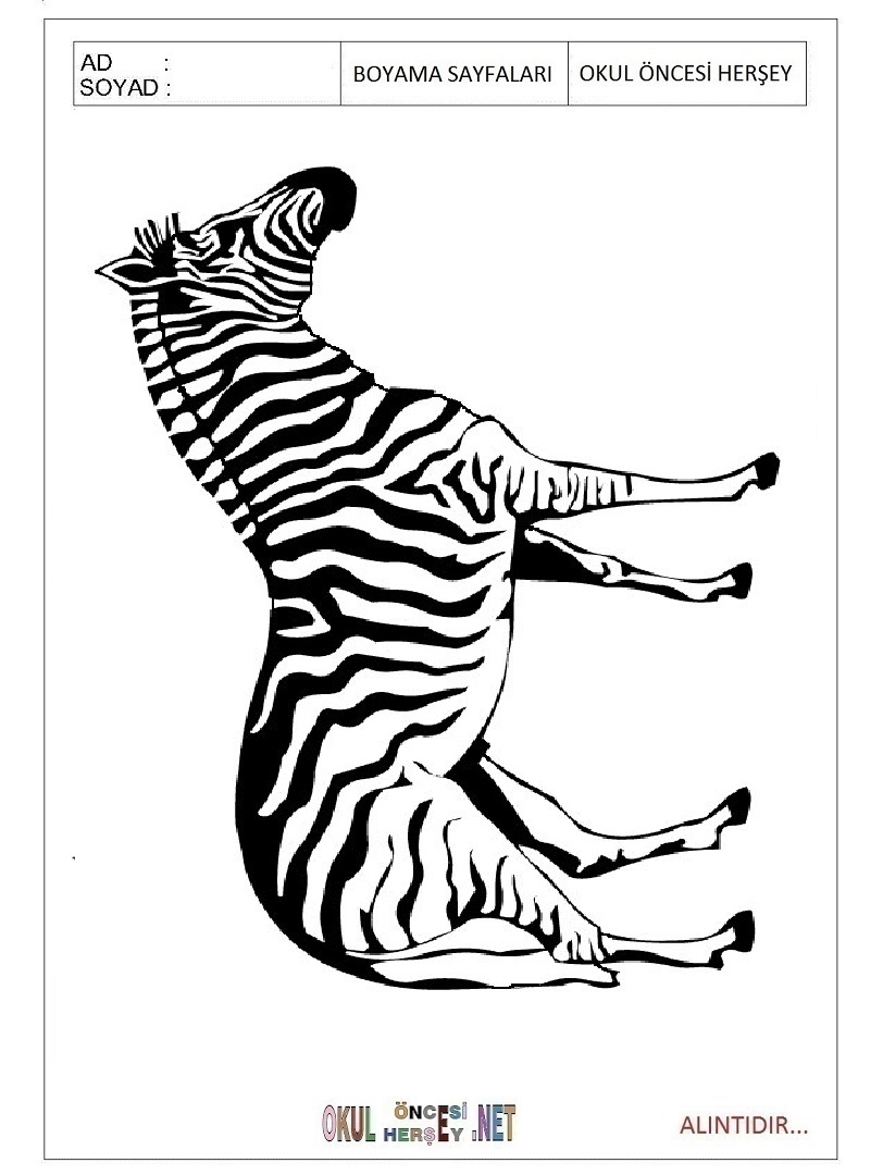 Çocuklar İçin Zebra Boyama Sayfaları 