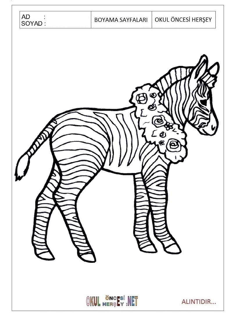 Çocuklar İçin Zebra Boyama Sayfaları 