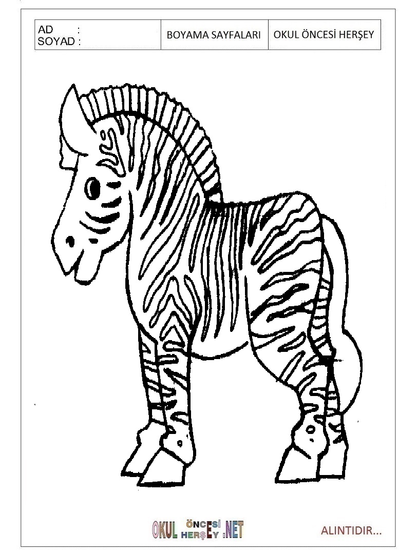 Çocuklar İçin Zebra Boyama Sayfaları 