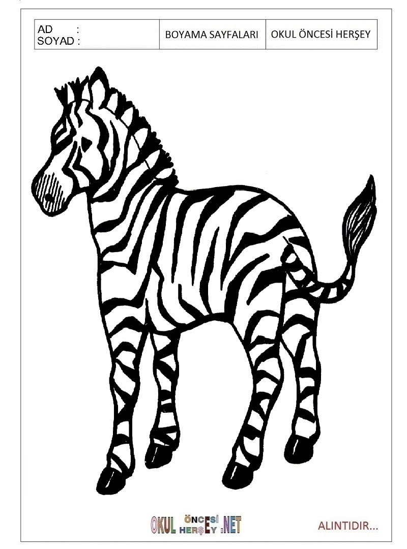 Çocuklar İçin Zebra Boyama Sayfaları 