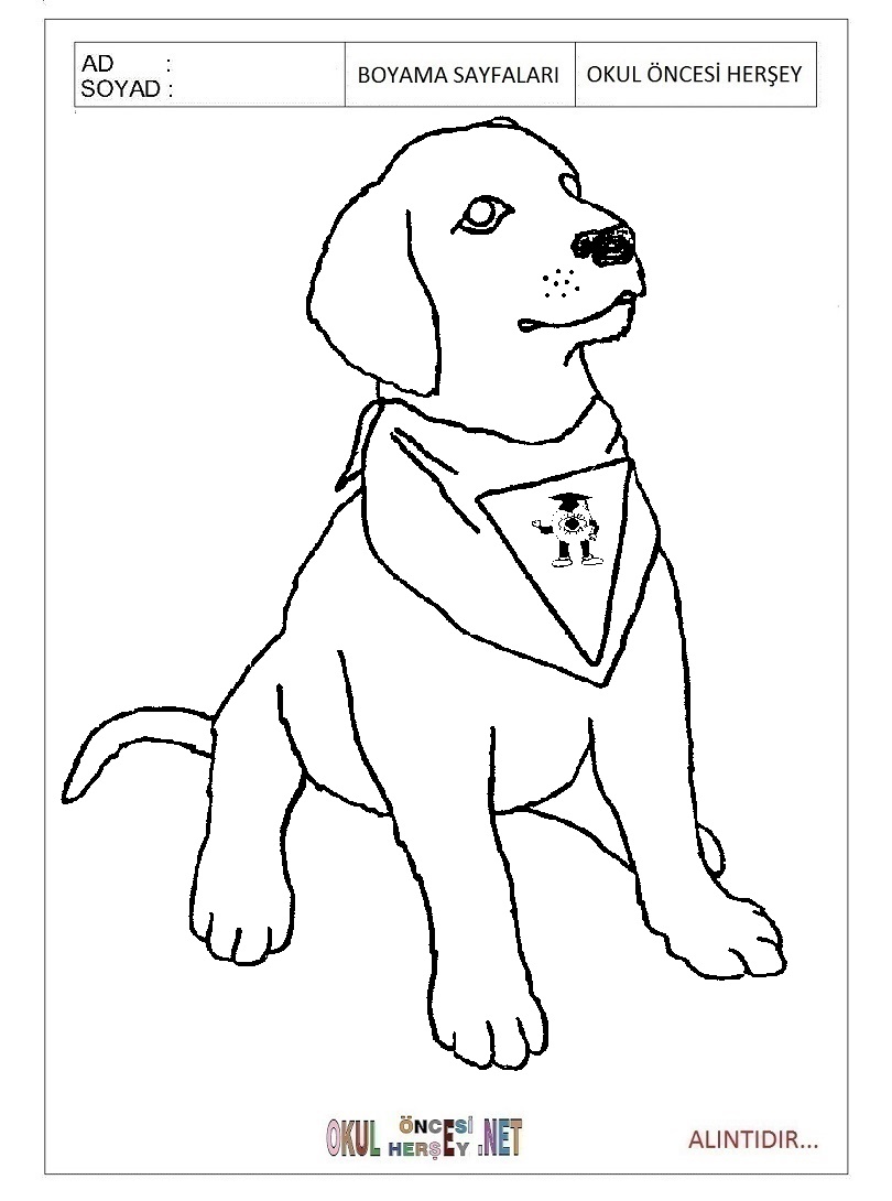 Çocuklar İçin Köpek Boyama Sayfaları 
