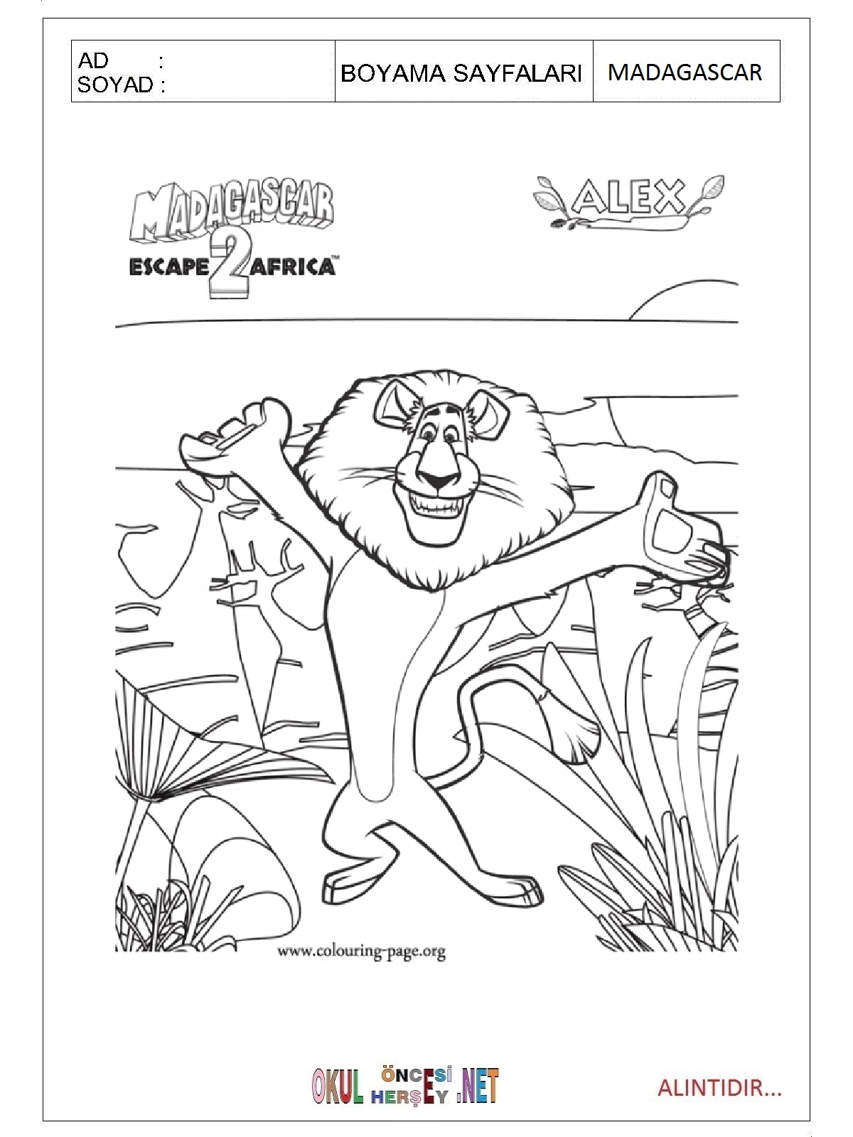 Madagascar boyama sayfaları