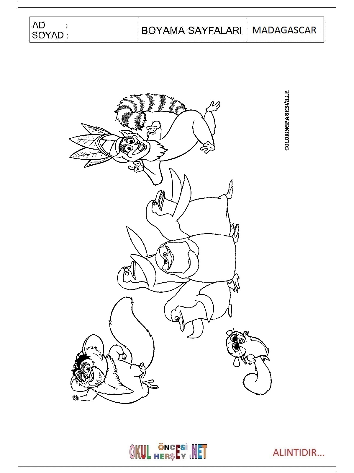 Madagascar boyama sayfaları