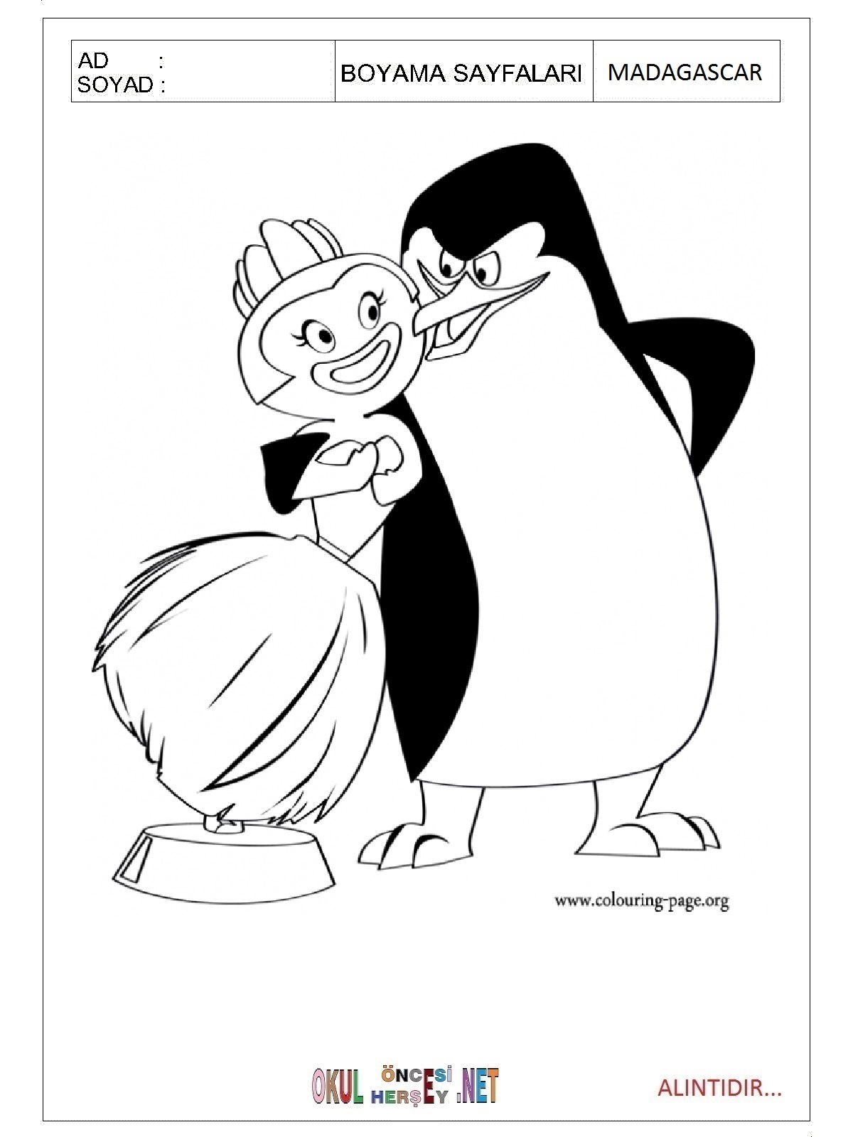 Madagascar boyama sayfaları
