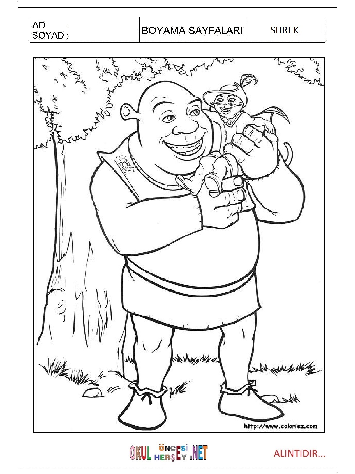 Çocuklar İçin Shrek Boyama Sayfaları 