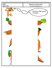 Eşleştirme Çalışmaları