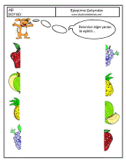 Eşleştirme Çalışmaları