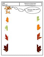 Eşleştirme Çalışmaları