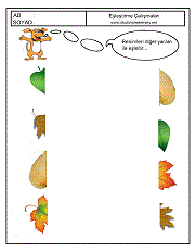 Eşleştirme Çalışmaları