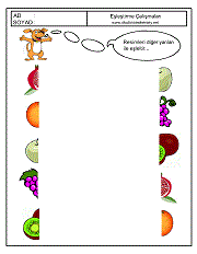 Eşleştirme Çalışmaları