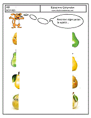 Eşleştirme Çalışmaları