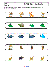 Farklı Olanı Bul Oyunu