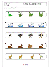 Farklı Olanı Bul Oyunu